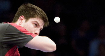 开云体育平台APP-奥地利乒乓球队血洗法国乒乓球队，王皓惊艳世界