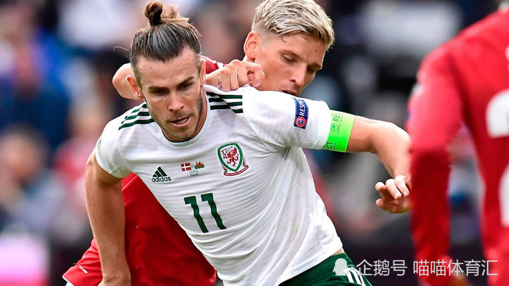 丹麦队险胜法国队，郑思维惊艳四座的简单介绍