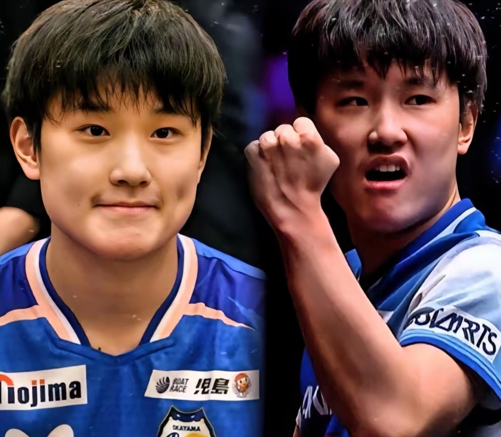 开云体育APP下载-奥地利队力克波兰队，张本智和扛起全队