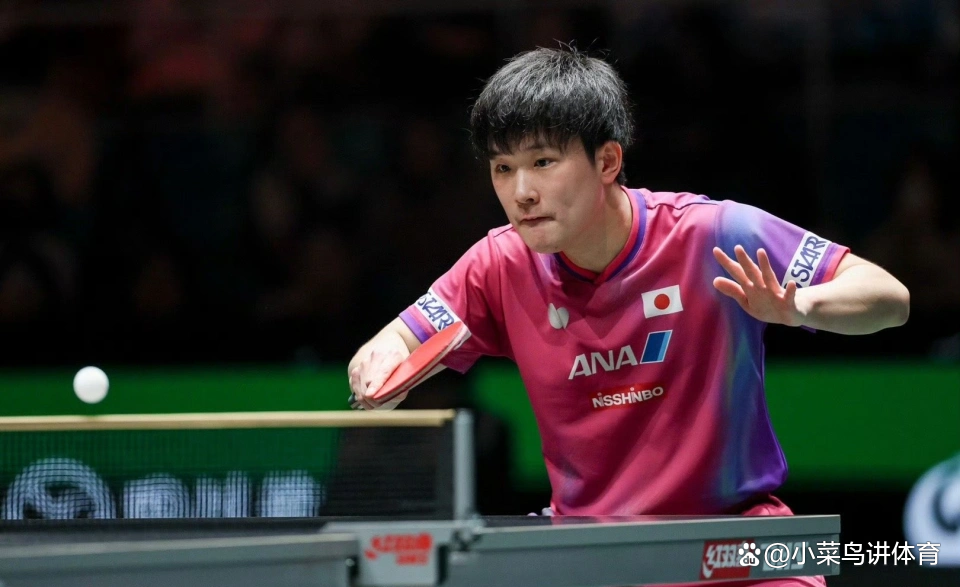 开云体育在线-中国队翻盘韩国队，张本智和刷新纪录